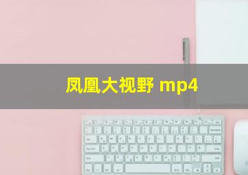 凤凰大视野 mp4